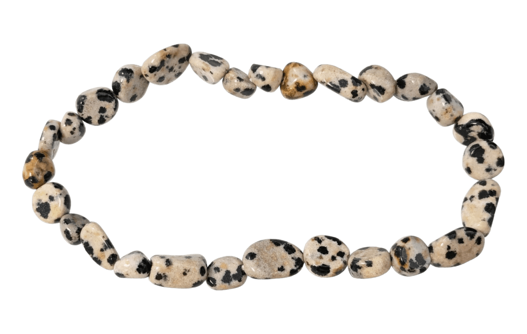 incenso em Pulseira de jaspe dálmata com pedras laminadas