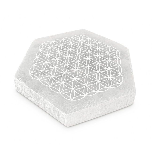 Placa Hexagonal em Selenite Flor da Vida 11cm 125g