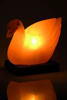 Lâmpada de sal em forma de pato 2-3 kg