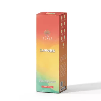 Incenso TERRA Cannabis sem carvão 12grs