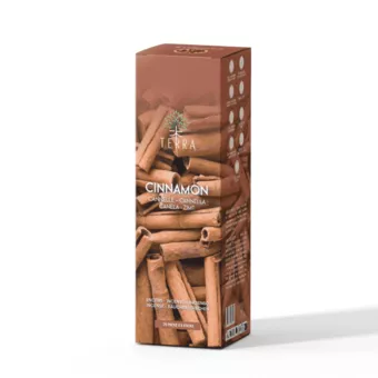 Incenso TERRA Canela carvão vegetal 12grs
