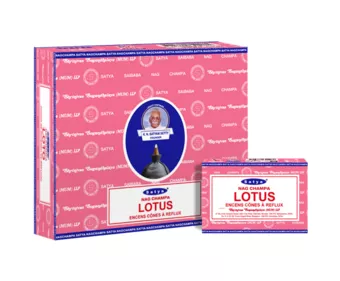 Cones de refluxo Satya Lotus 12 peças