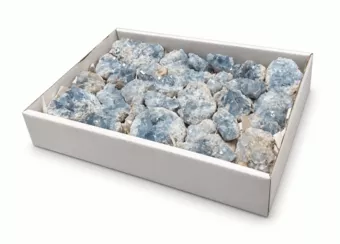 Expositor de Celestite A Pedras Brutas 3-7 cm 2,5-3 kg