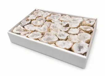 Expositor de Celestite A Pedras Brutas 3-7 cm 2,5-3 kg