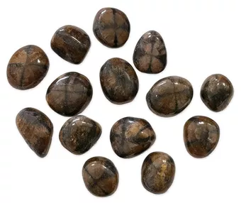 Quiastolita A Pedras Roladas 2-3cm 250g