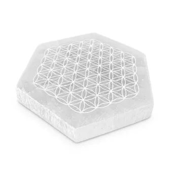 Placa Hexagonal em Selenite Flor da Vida 11cm 125g