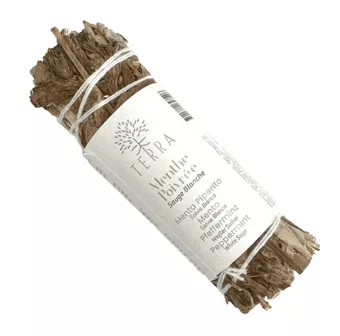 Conjunto de salva branca e hortelã-pimenta 25-30g 10cm