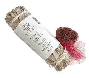 Salva Branca e Cravinho Fagot 25-30gr 10cm