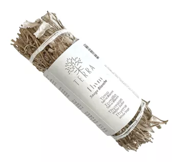 Salva Branca e Tomilho Fagot 25-30gr 10cm