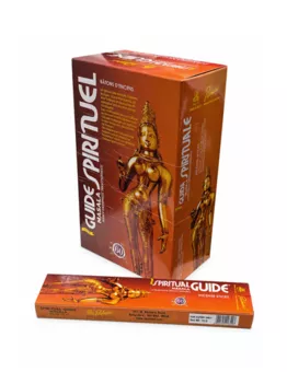 Incenso Padmini Masala Spiritual Guide 15g